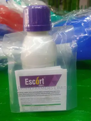Escort 100ml