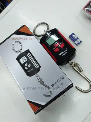 Weighing Scale 200kgs Hanging Digital Mini Crane Scale