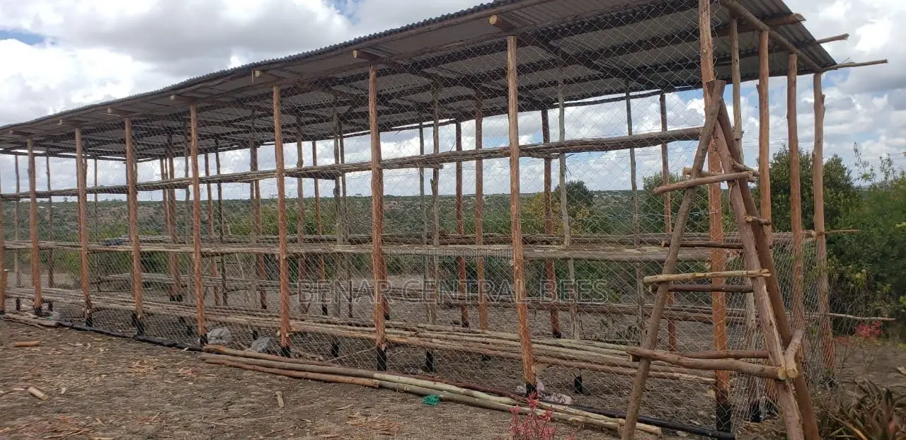Modern Apiary/Apiaries