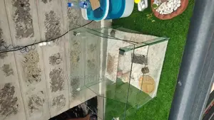 Tortoise  Pen
