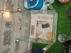 Tortoise Terrariums