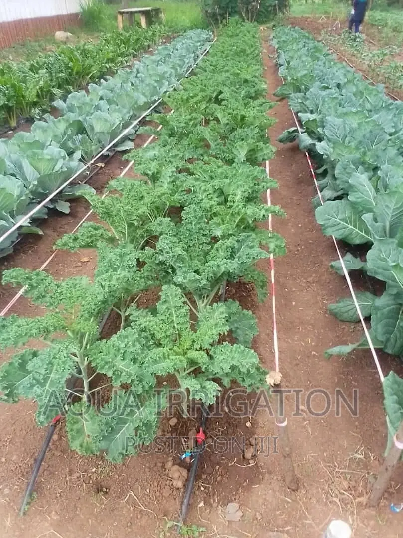 Driplines Irrigation System