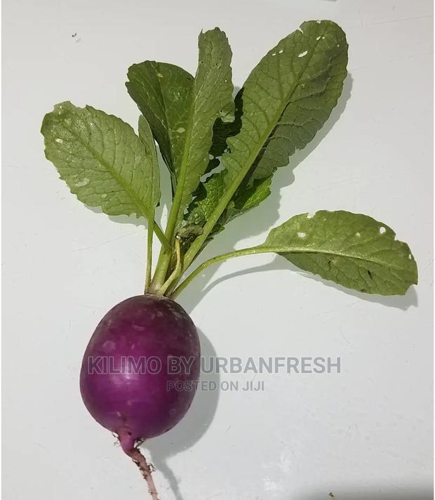 Radish Seedling Moq 50 - thumbnail 3