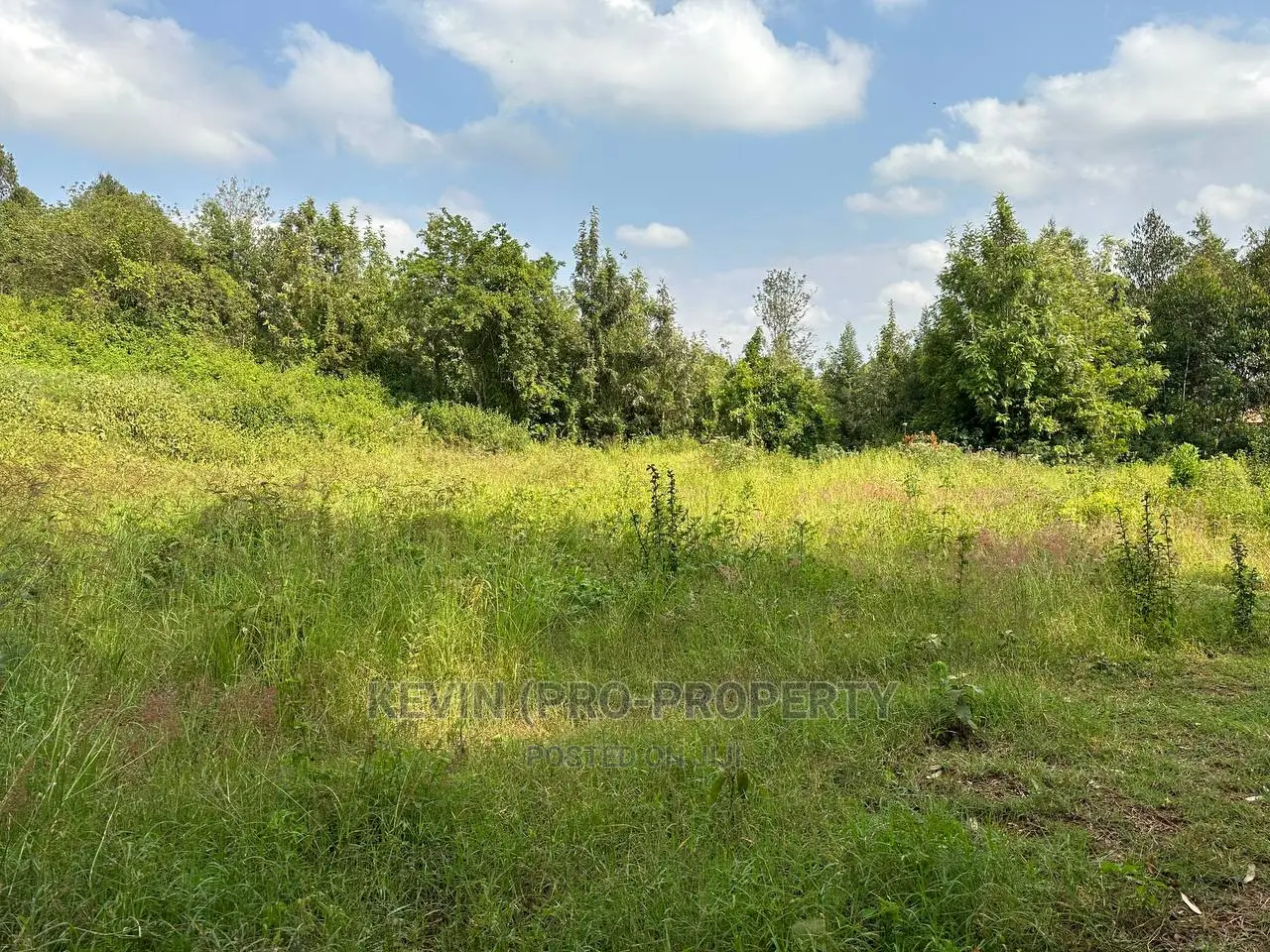 Residential Plot for Sale in Kikuyu, Ondiri-Kiambu County.
