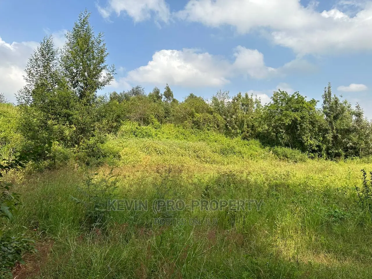 Residential Plot for Sale in Kikuyu, Ondiri-Kiambu County.