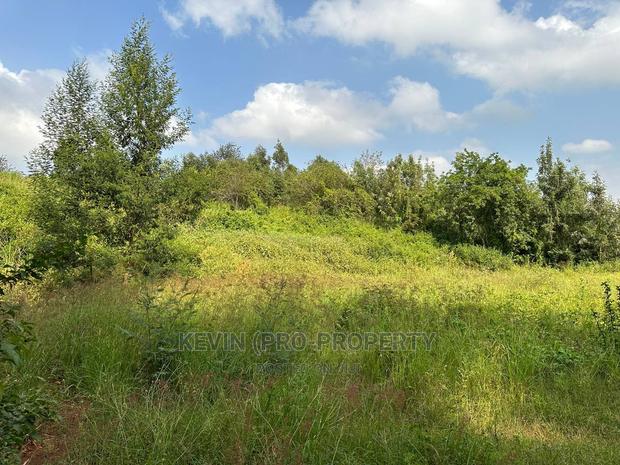 Residential Plot for Sale in Kikuyu, Ondiri-Kiambu County. - thumbnail 5