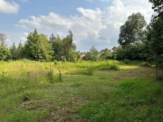 Residential Plot for Sale in Kikuyu, Ondiri-Kiambu County. - thumbnail 4