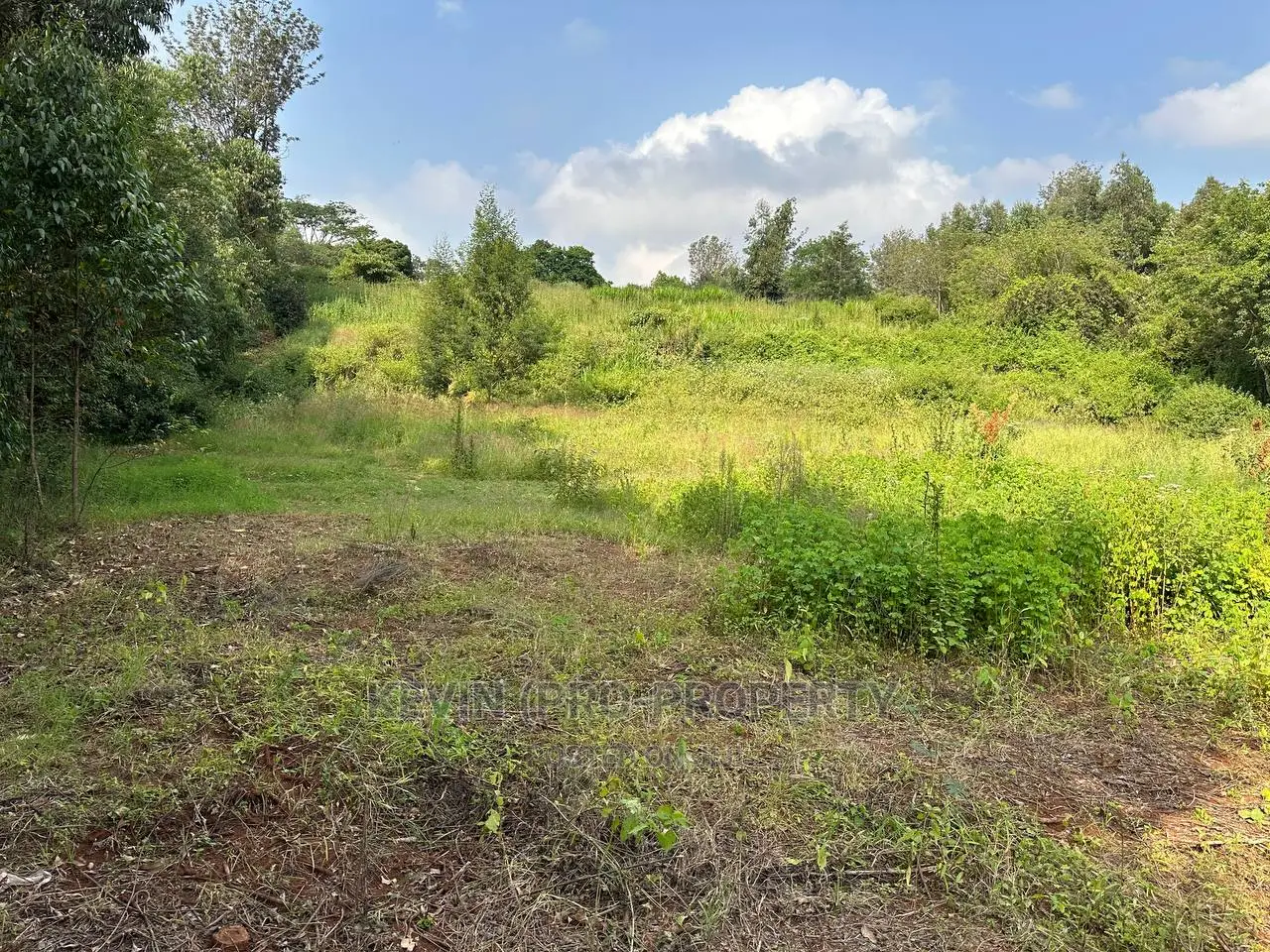 Residential Plot for Sale in Kikuyu, Ondiri-Kiambu County.