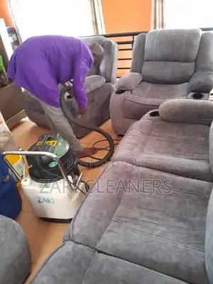 Zari Cleaning and Pest Control-Nairobi- Kisumu