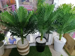 Palm Tree and Basket/Vases