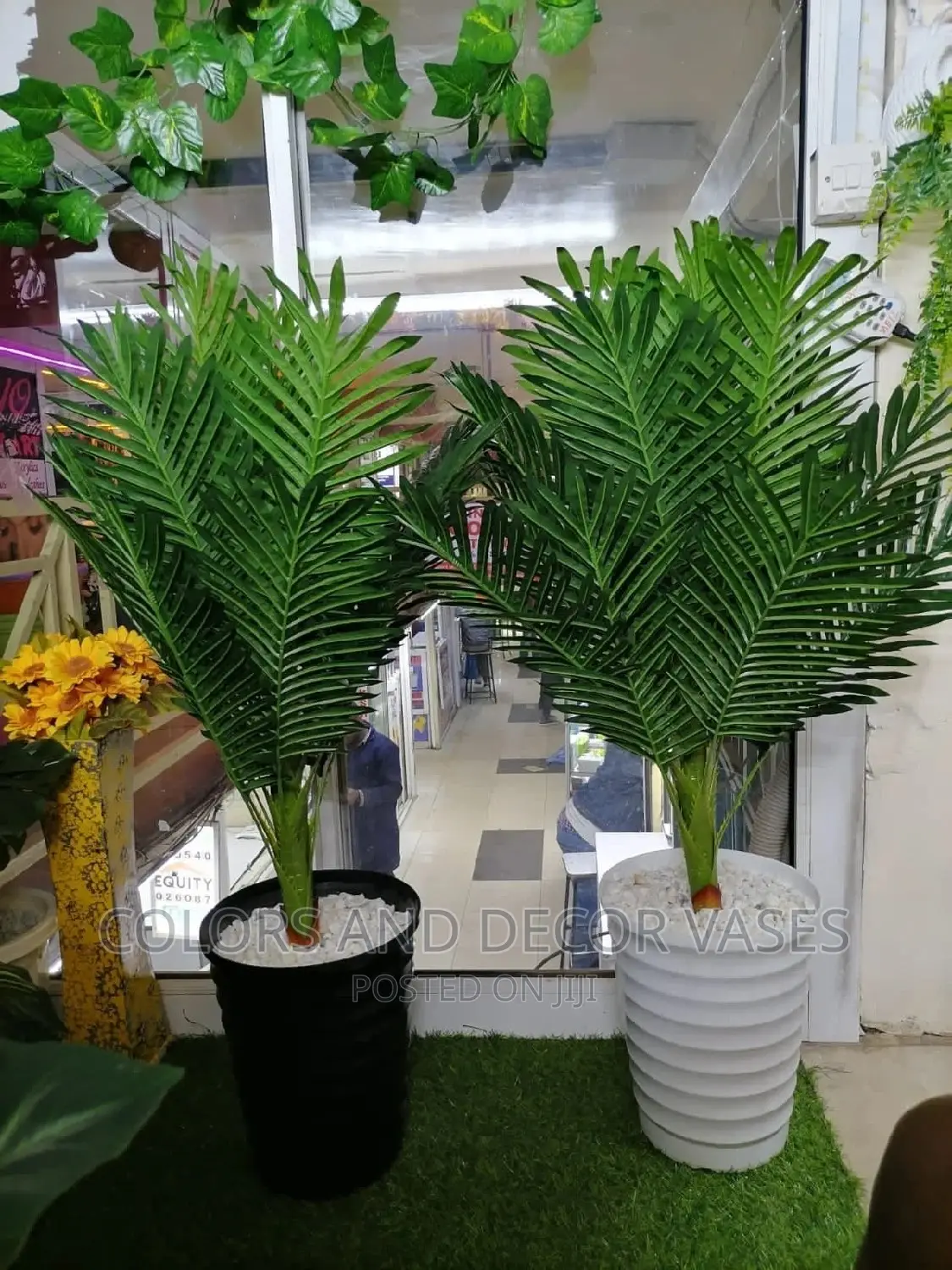 Palm Complete Set KSH 4000