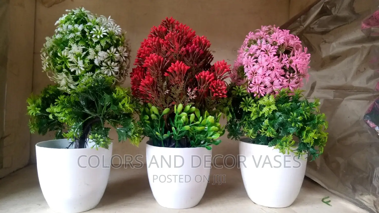 Potted Plants Bonsai