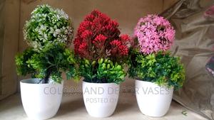 Potted Plants Bonsai - thumbnail 2