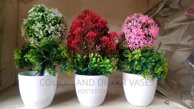 Potted Plants Bonsai - main view