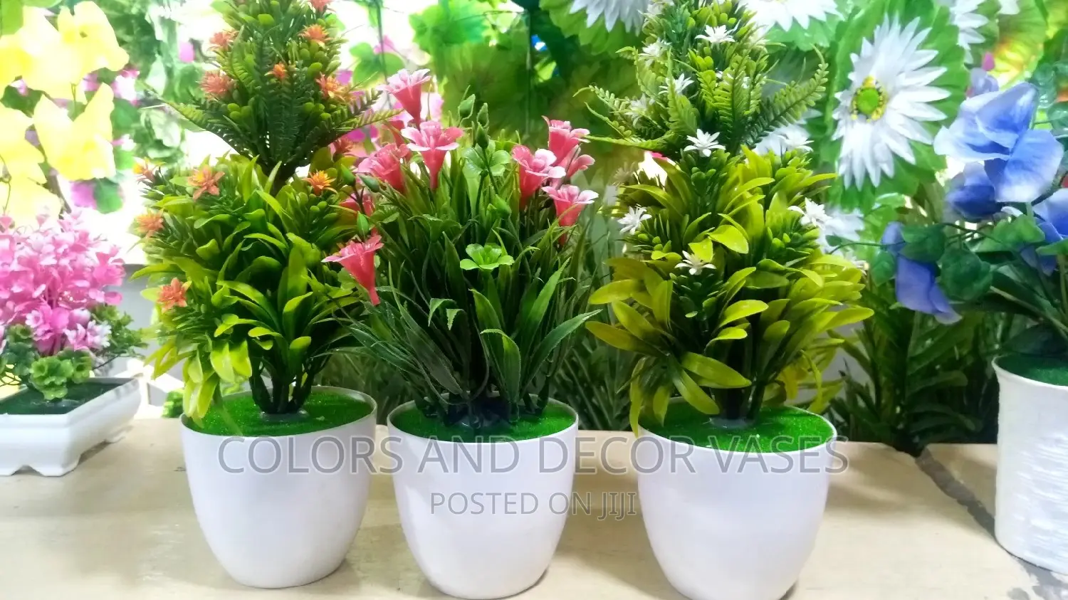 Potted Plants Bonsai