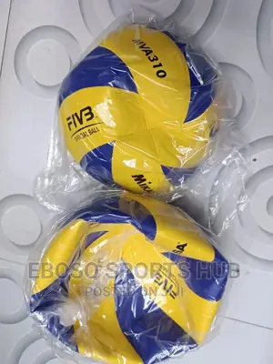Volleyball Mikasa Mva 310