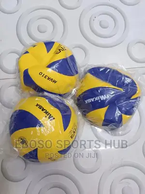 Volleyball Mikasa Mva 310