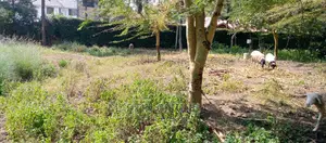 Ngong Oloolua Land