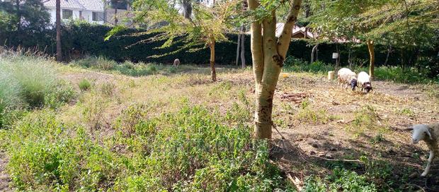 Ngong Oloolua Land - thumbnail 6