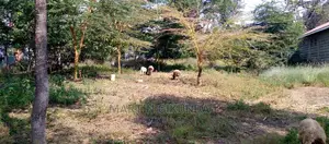 Ngong Oloolua Land