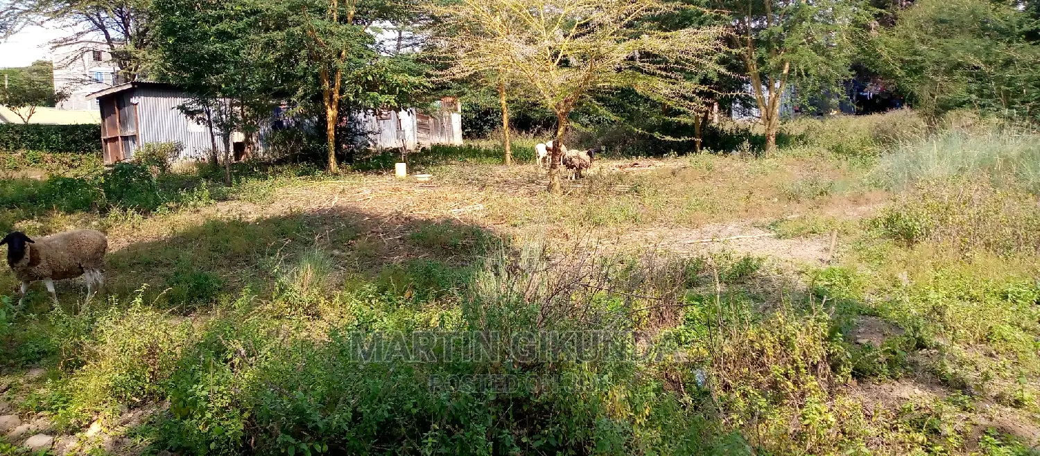 Ngong Oloolua Land