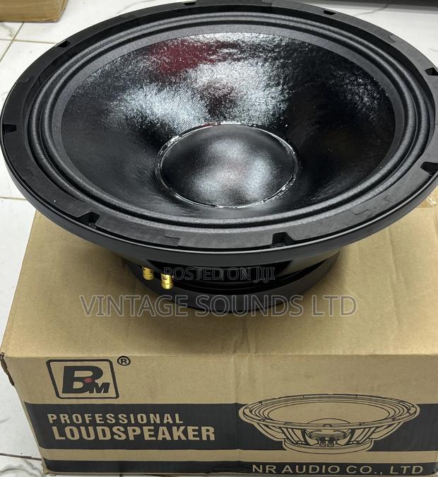 Newretone Bm-Az20 Low-Mid Professional Loudspeaker 15 “ - main view