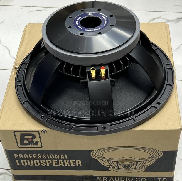 BM AZ-20 Midbass 15 Inch Speaker - main view