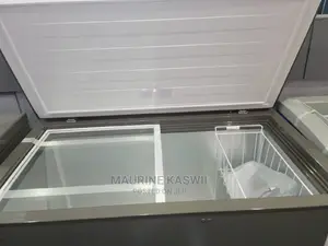 Hisense 250 L Freezer