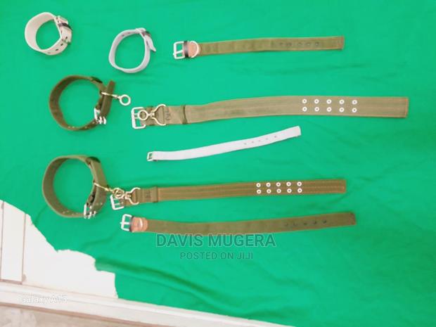 Canvas Dog Collars High Quality in Small Medium and Large - main view