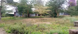 Ngong Oloolua Land