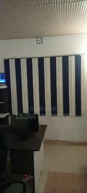 Window Blinds