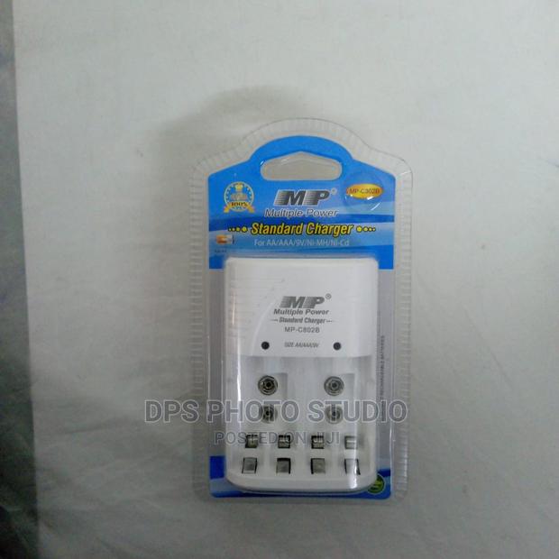 Multiple Power Standard Charger