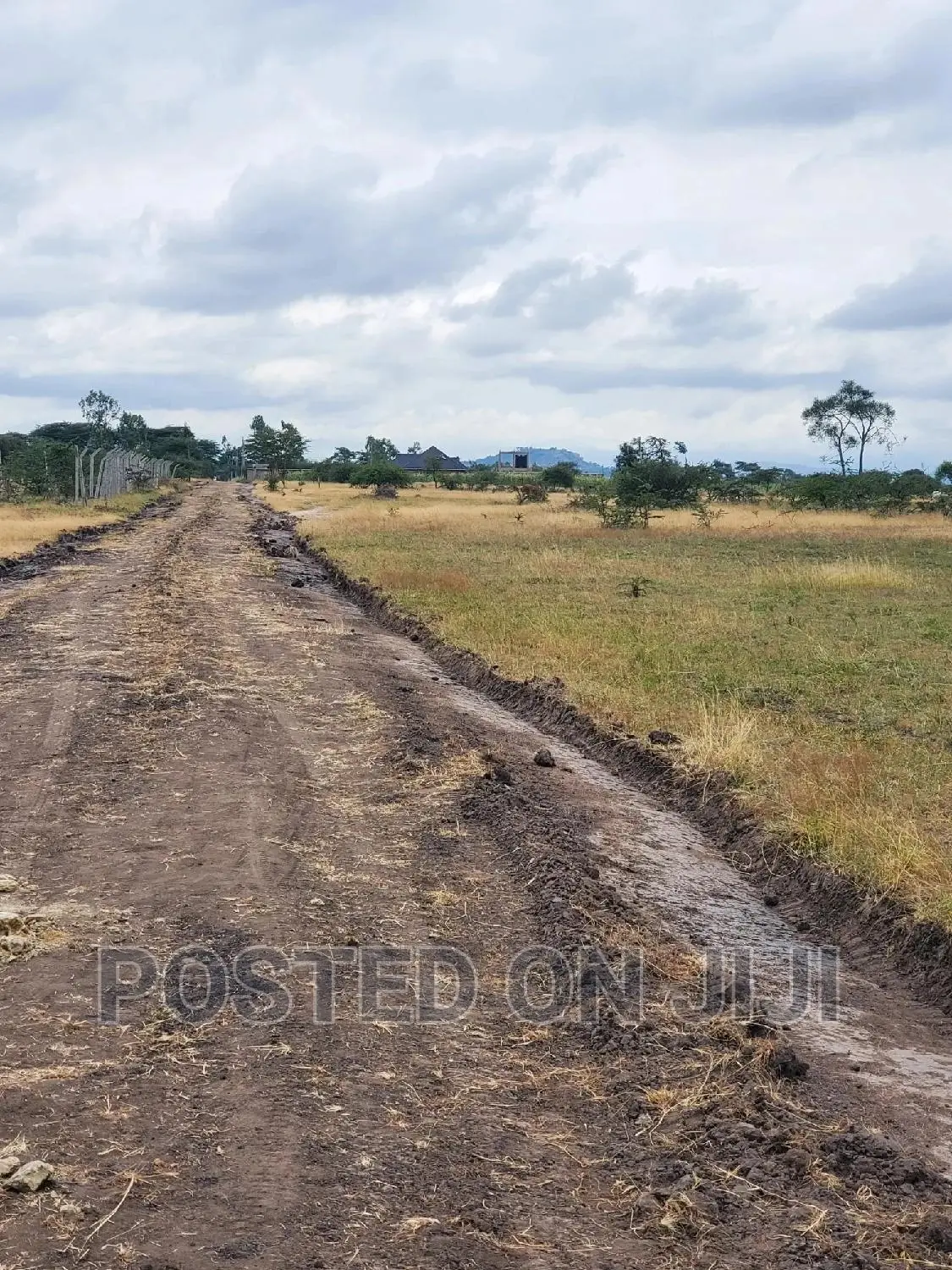 PATA Ploti Na Lipa Mdogo Mdogo ^SJ