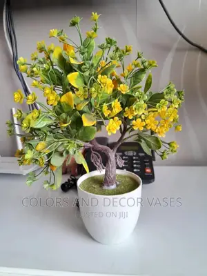 Bonsai Plant Potted