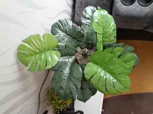 Plant Artificial