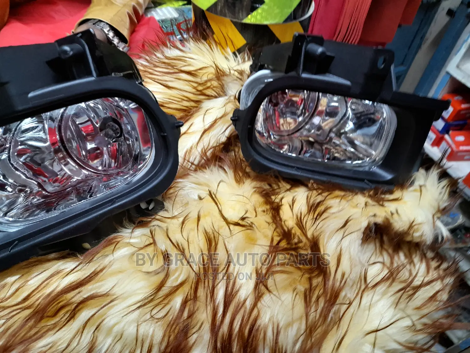 Fog Lamp Light Premio