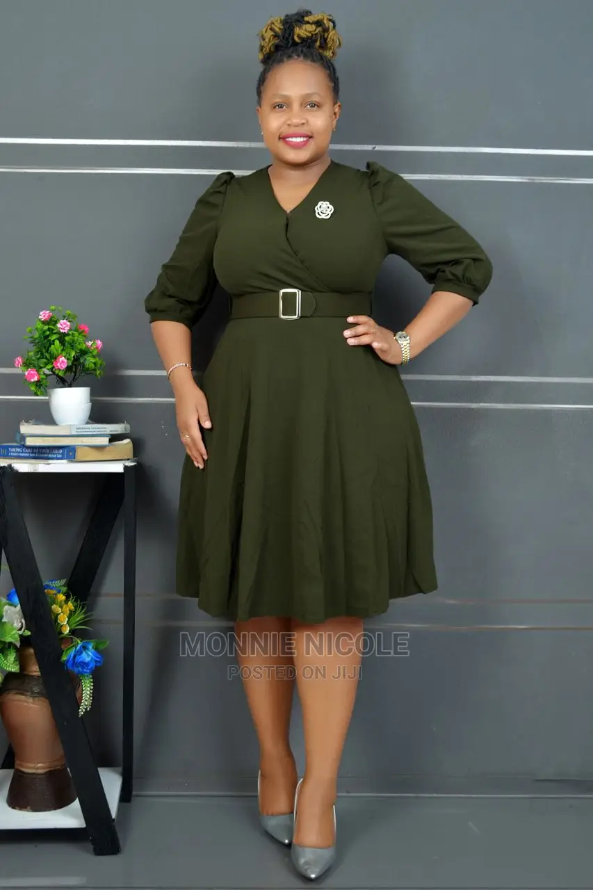Official Breastfeeding Friendly Skater Dress