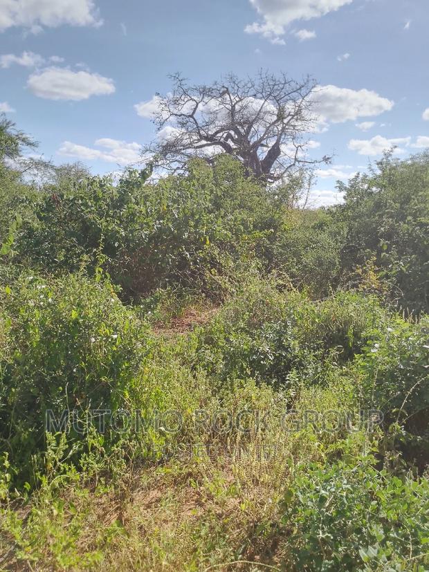 500acres for Sale - thumbnail 4