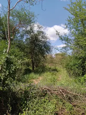 300acres for Sale