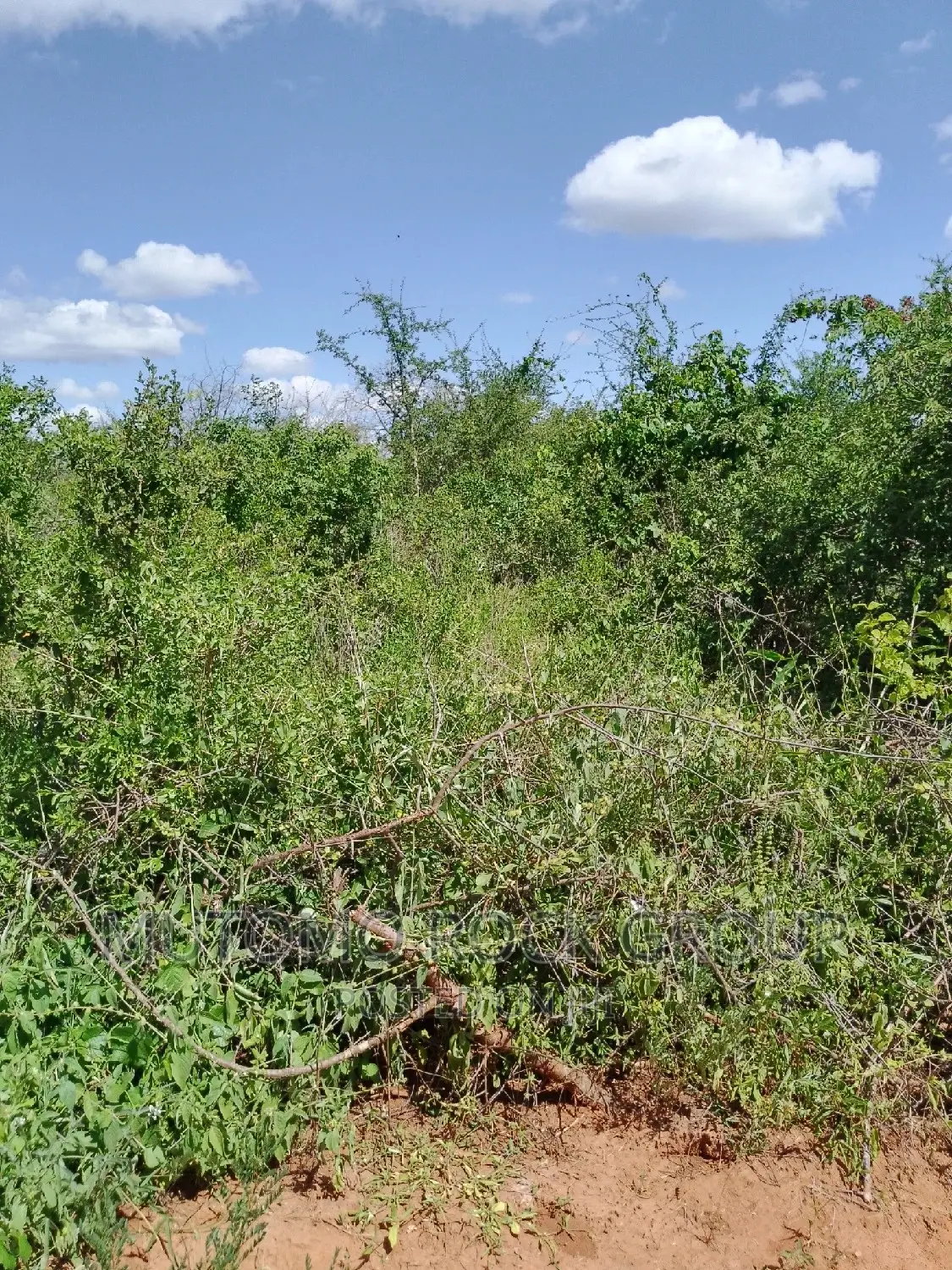 31acres for Sale