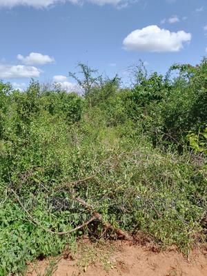 31acres for Sale - thumbnail 2