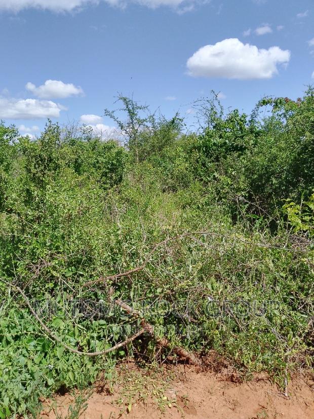 31acres for Sale - main view