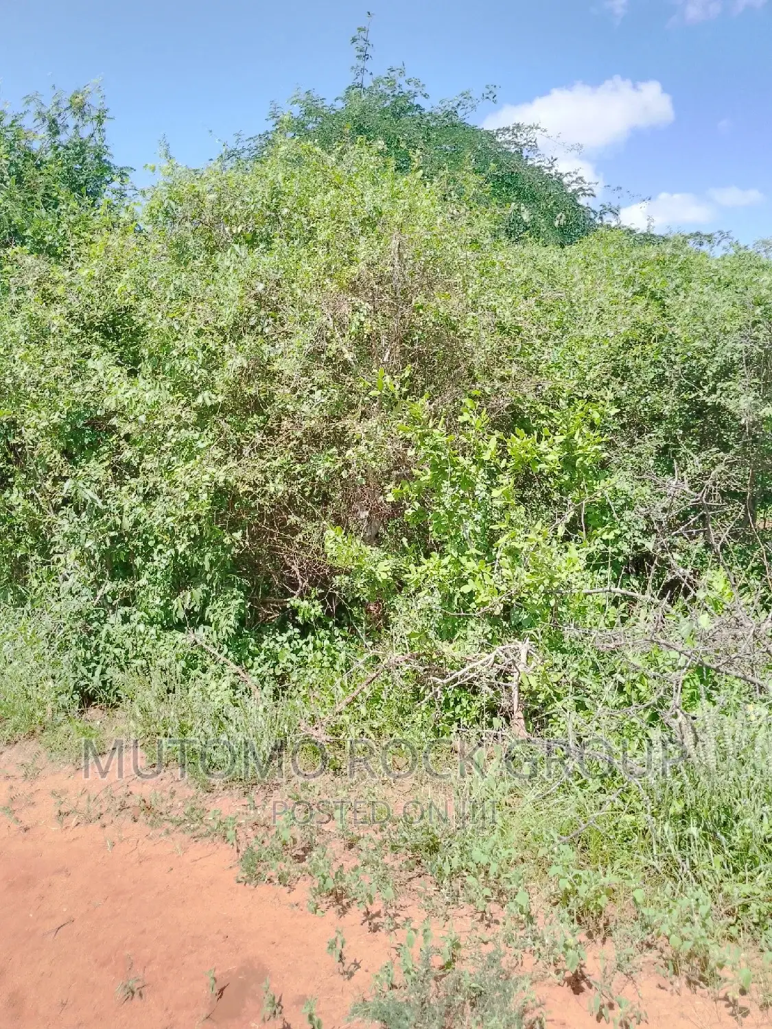 31acres for Sale