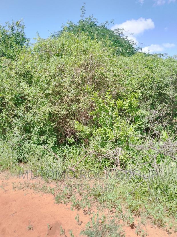 31acres for Sale - thumbnail 3