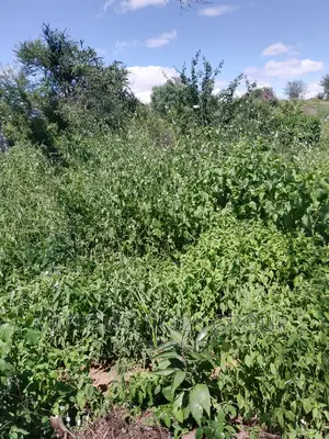 31acres for Sale