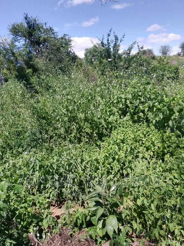 31acres for Sale - thumbnail 4