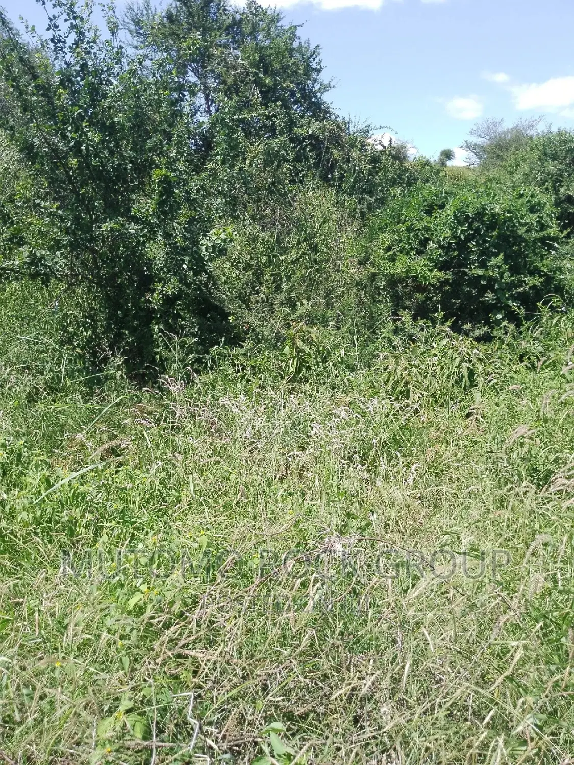 31acres for Sale