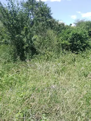 31acres for Sale