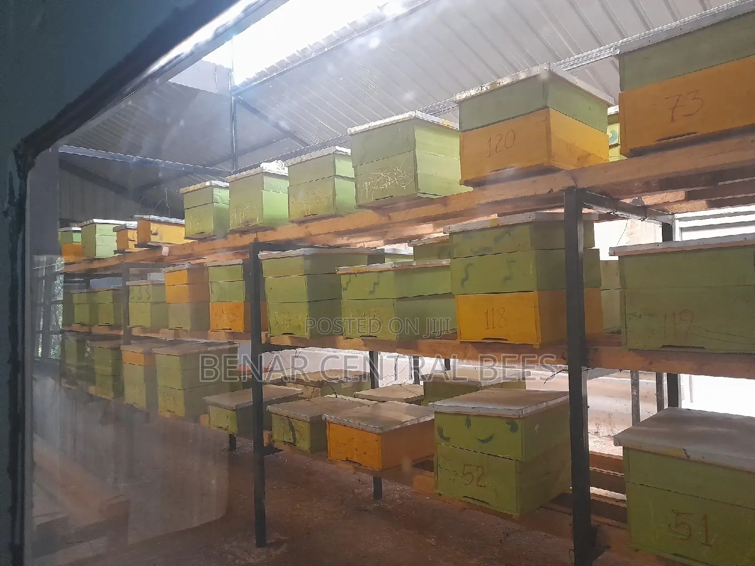 Modern Apiary/Apiaries