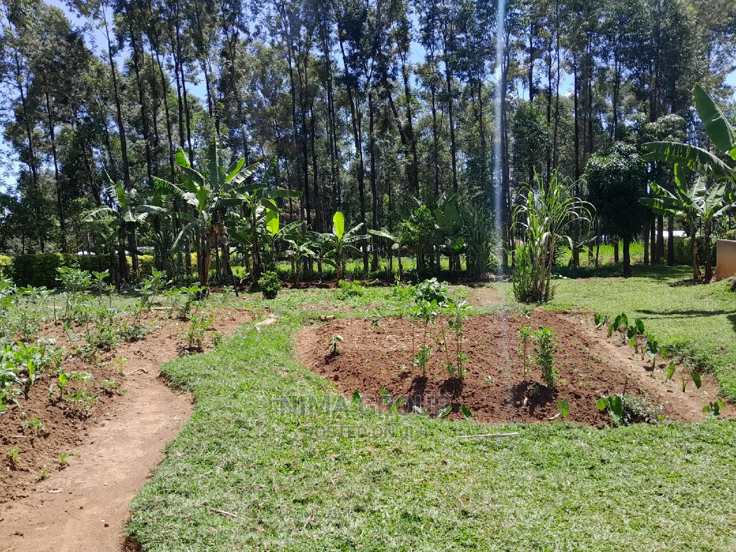 1.5 Acre in Kakamega